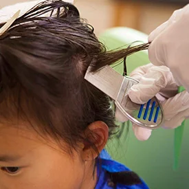 Girl receiving a comb out treatment for head lice