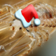Close up image of a head louse wearing a santa hat