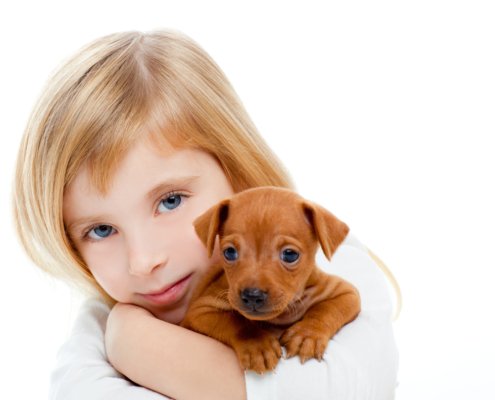 Young girl holding a puppy