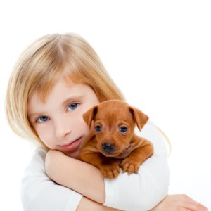 Blond children girl with dog puppy mini pinscher
