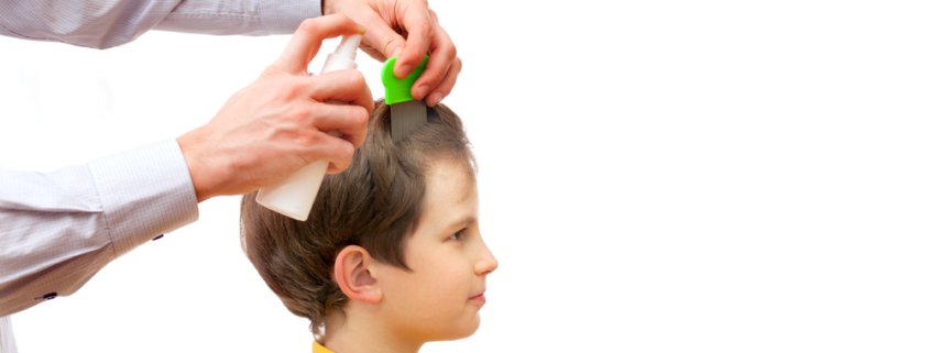 A man using a comb and spray to get nits out from boy's head