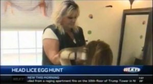 Head Lice Egg Hunt