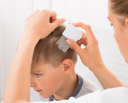 Boy getting his hair comped through for lice