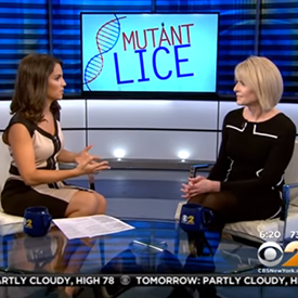 Two women on a CBS News segment about mutant lice