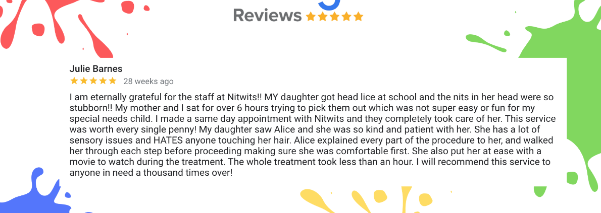 Julie barnes leaves a glowing review about us working with her autistic child.