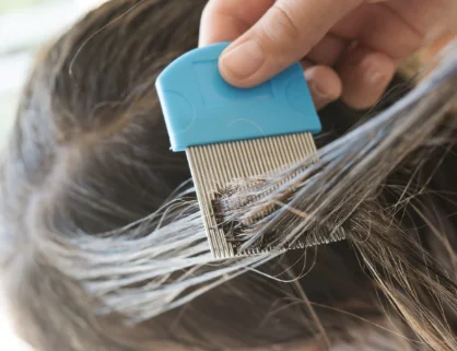 How to Comb for Lice - A Step By Step Process | Nit Wits - Lice Removal